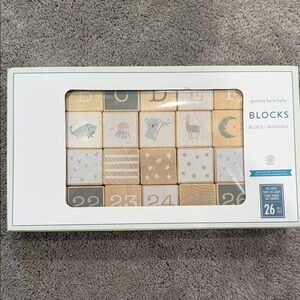 Pottery Barn Kids Multicolor Wooden Blocks Set